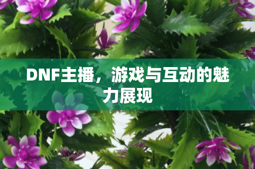 DNF主播，游戏与互动的魅力展现