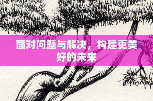 面对问题与解决，构建更美好的未来