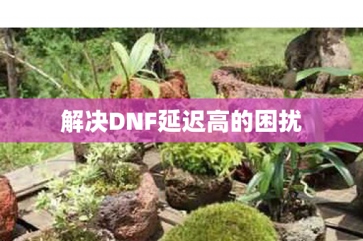 解决DNF延迟高的困扰