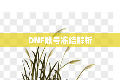 DNF账号冻结解析