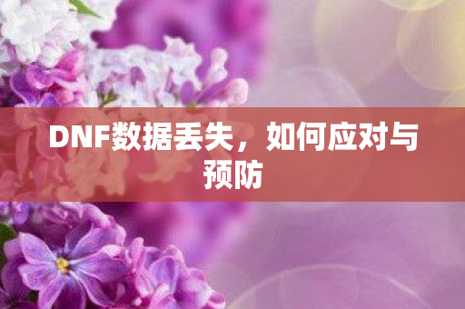DNF数据丢失，如何应对与预防