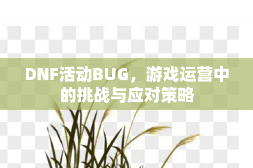 DNF活动BUG，游戏运营中的挑战与应对策略