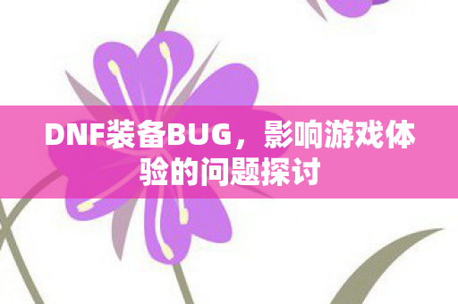 DNF装备BUG，影响游戏体验的问题探讨