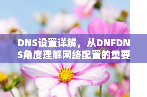 DNS设置详解,从DNFDNS角度理解网络配置的重要性 DNS设置详解,从DNFDNS角度理解网络配置的重要性