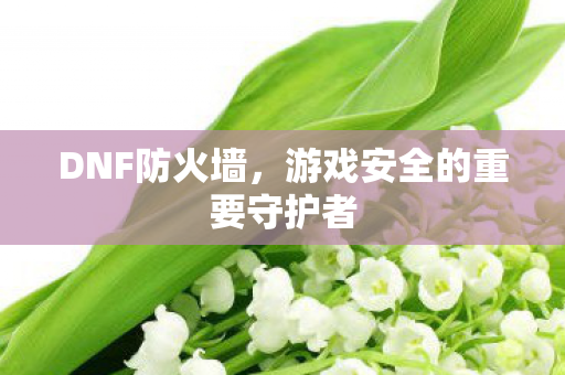 DNF防火墙，游戏安全的重要守护者