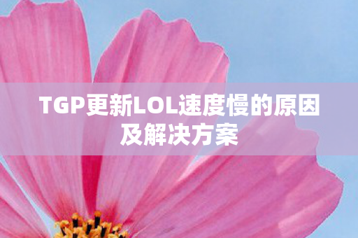 TGP更新LOL速度慢的原因及解决方案 TGP更新LOL速度慢的原因及解决方案