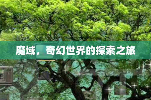 魔域,奇幻世界的探索之旅 魔域,奇幻世界的探索之旅