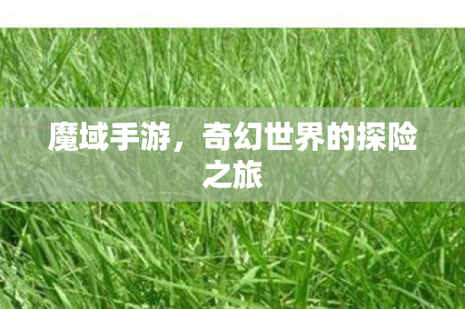 魔域手游，奇幻世界的探险之旅