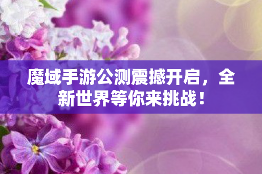 魔域手游公测震撼开启，全新世界等你来挑战！