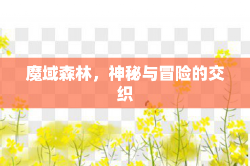 魔域森林，神秘与冒险的交织