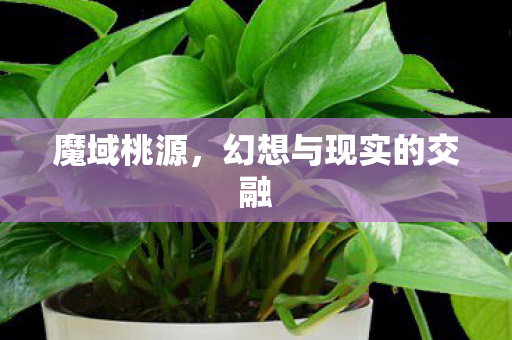 魔域桃源，幻想与现实的交融