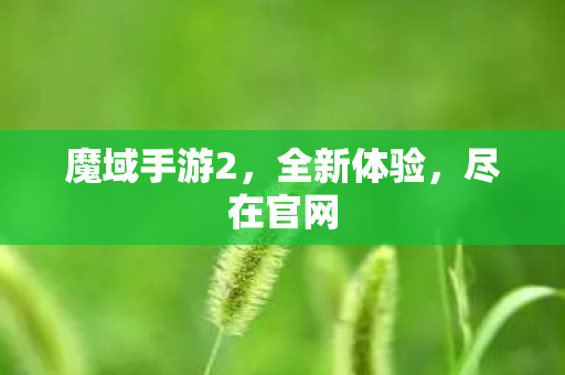 魔域手游2，全新体验，尽在官网