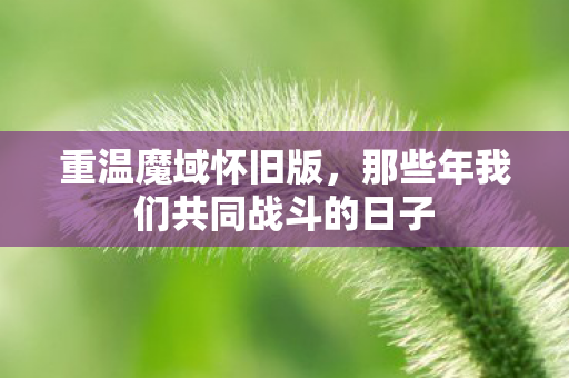 重温魔域怀旧版，那些年我们共同战斗的日子