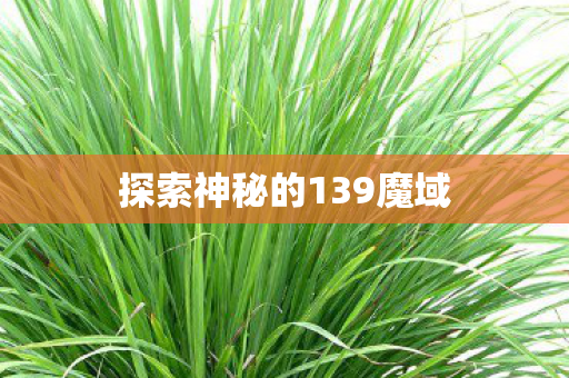 探索神秘的139魔域 探索神秘的139魔域