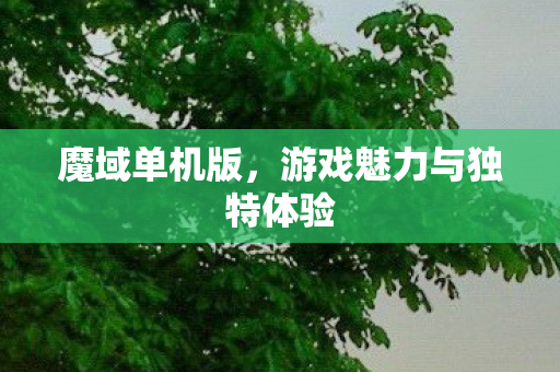 魔域单机版，游戏魅力与独特体验