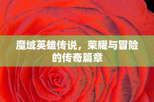 魔域英雄传说，荣耀与冒险的传奇篇章