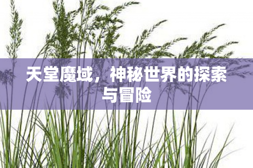 天堂魔域，神秘世界的探索与冒险