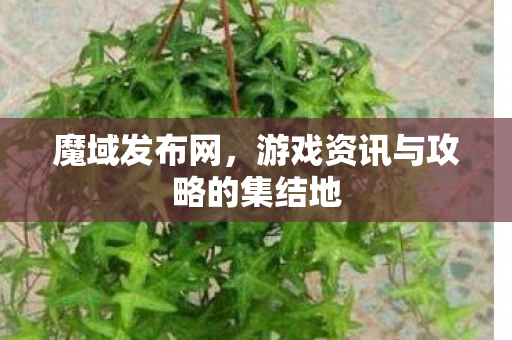 魔域发布网,游戏资讯与攻略的集结地 魔域发布网,游戏资讯与攻略的集结地