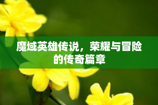 魔域英雄传说，荣耀与冒险的传奇篇章