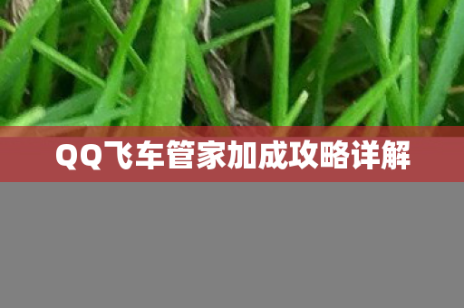 QQ飞车管家加成攻略详解