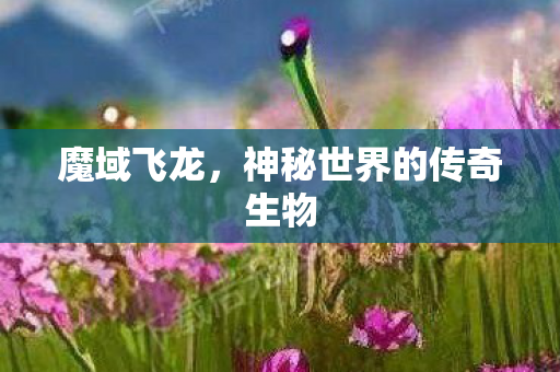 魔域飞龙,神秘世界的传奇生物 魔域飞龙,神秘世界的传奇生物