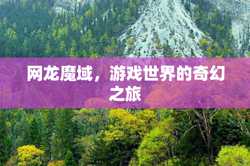 网龙魔域，游戏世界的奇幻之旅