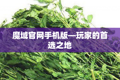 魔域官网手机版—玩家的首选之地