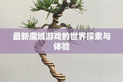 最新魔域游戏的世界探索与体验