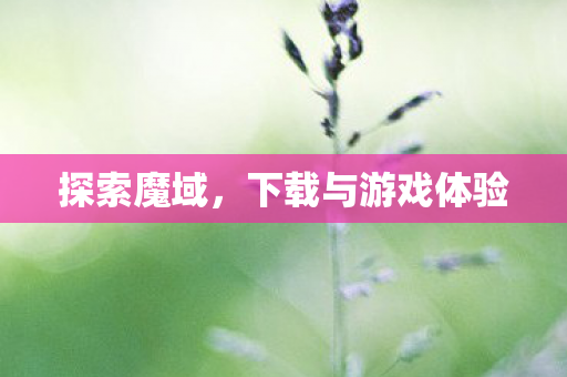 探索魔域，下载与游戏体验
