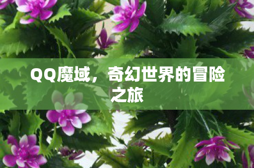 QQ魔域,奇幻世界的冒险之旅 QQ魔域,奇幻世界的冒险之旅