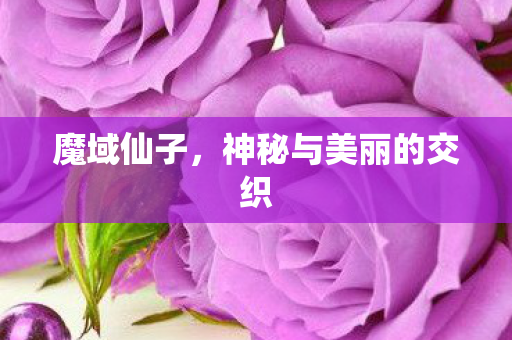 魔域仙子,神秘与美丽的交织 魔域仙子,神秘与美丽的交织