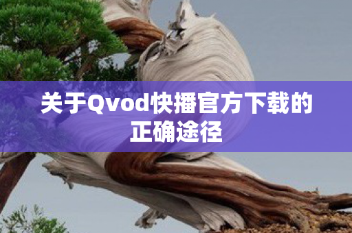 关于Qvod快播官方下载的正确途径