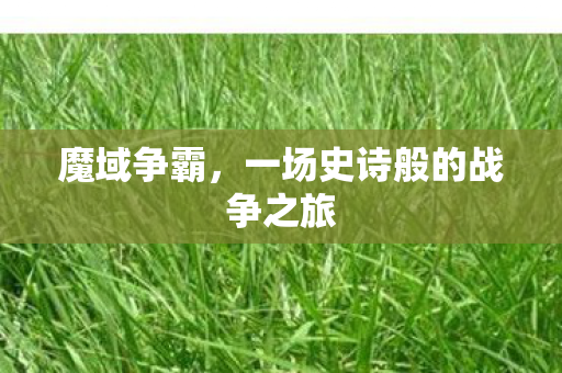 魔域争霸，一场史诗般的战争之旅