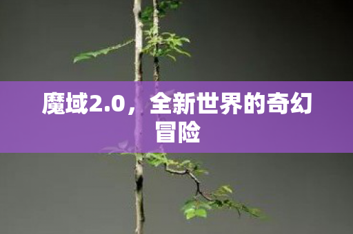 魔域2.0，全新世界的奇幻冒险