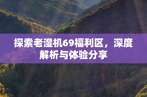 探索老湿机69福利区，深度解析与体验分享