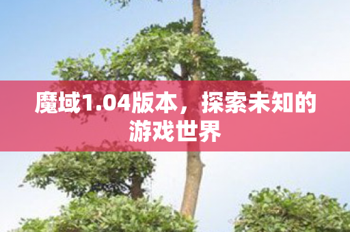 魔域1.04版本，探索未知的游戏世界