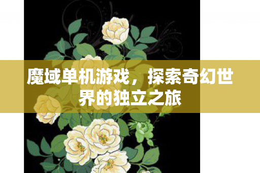 魔域单机游戏，探索奇幻世界的独立之旅