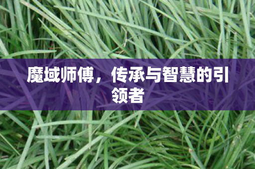 魔域师傅，传承与智慧的引领者
