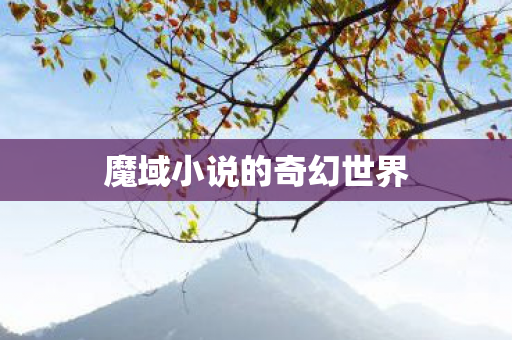 魔域小说的奇幻世界