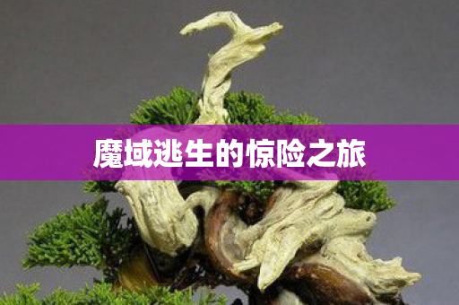 魔域逃生的惊险之旅