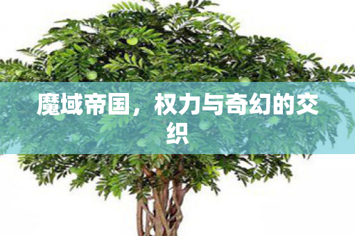 魔域帝国，权力与奇幻的交织