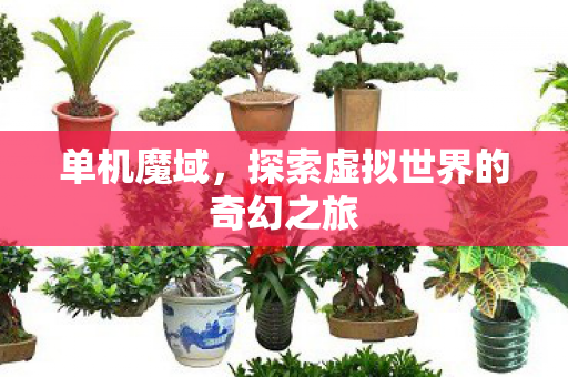 单机魔域，探索虚拟世界的奇幻之旅