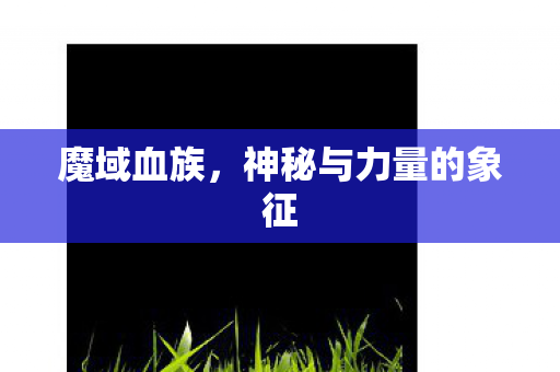 魔域血族，神秘与力量的象征