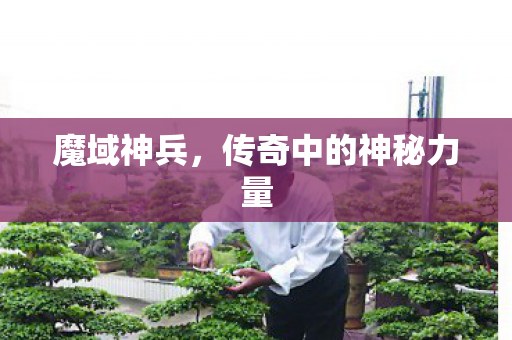 魔域神兵，传奇中的神秘力量