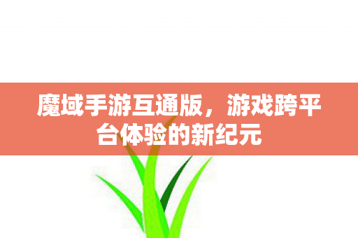 魔域手游互通版，游戏跨平台体验的新纪元
