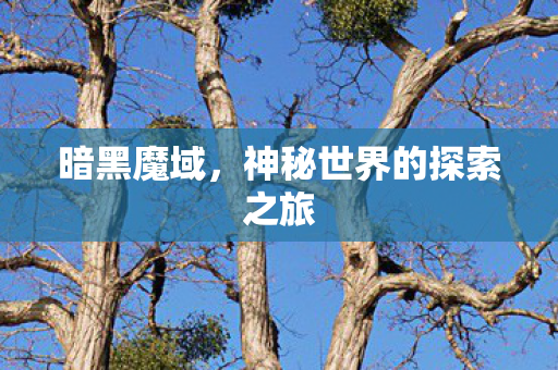 暗黑魔域,神秘世界的探索之旅 暗黑魔域,神秘世界的探索之旅