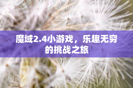 魔域2.4小游戏，乐趣无穷的挑战之旅