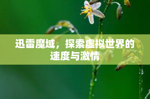 迅雷魔域，探索虚拟世界的速度与激情