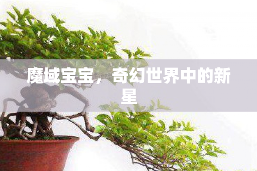 魔域宝宝，奇幻世界中的新星