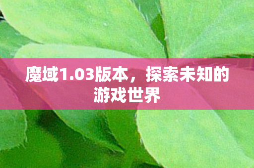魔域1.03版本，探索未知的游戏世界